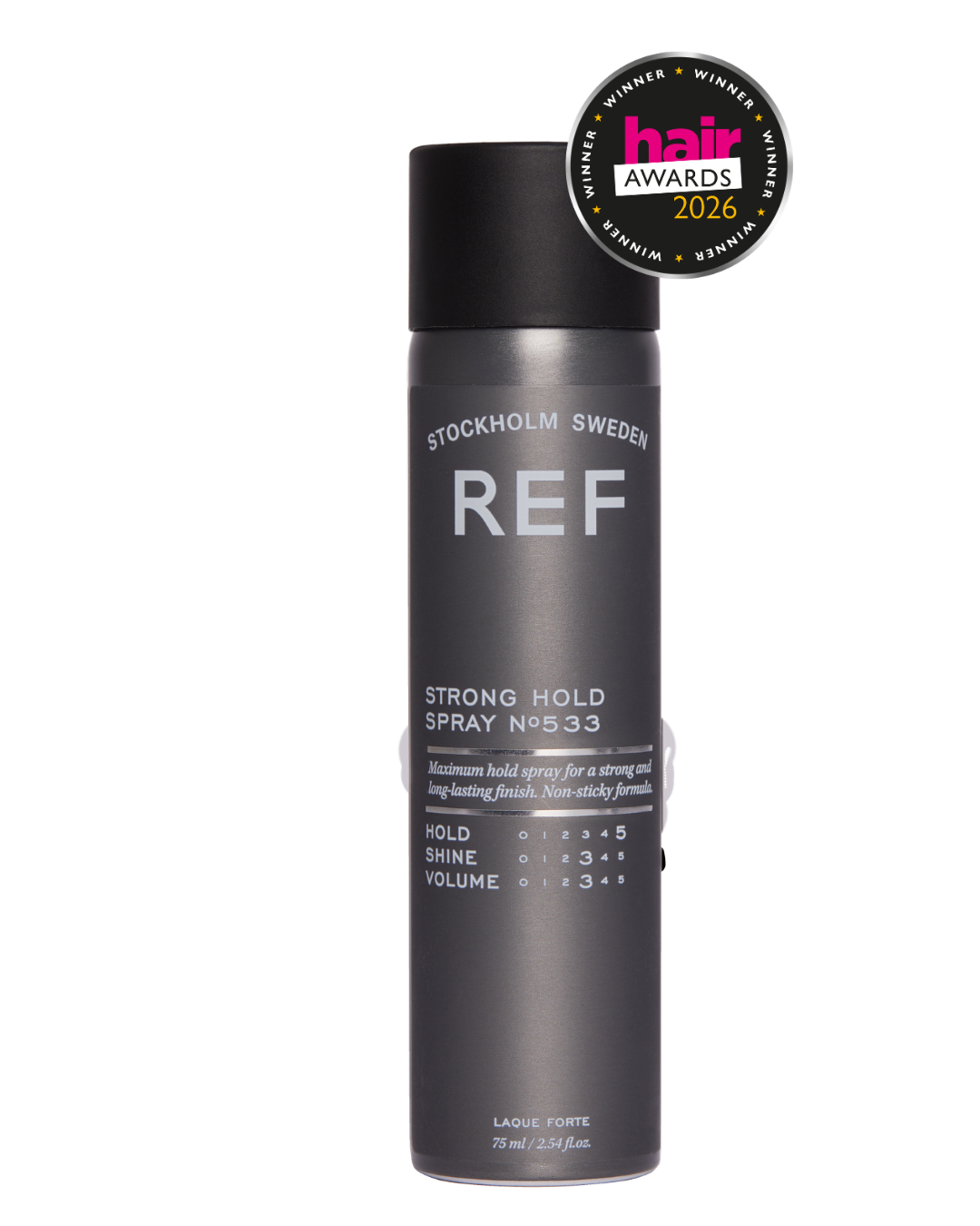 Strong Hold Spray N°533