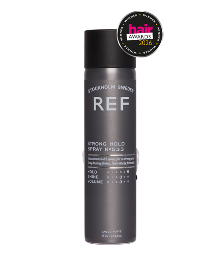 Strong Hold Spray N°533