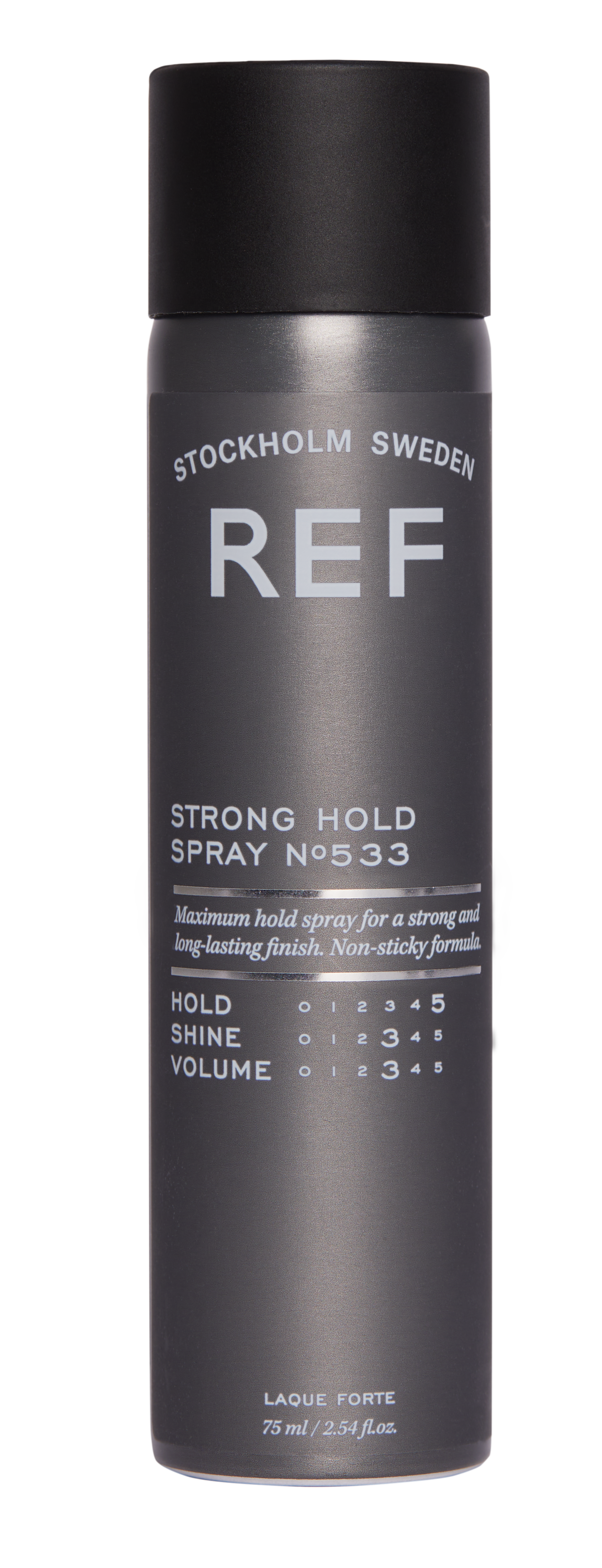 Strong Hold Spray N°533
