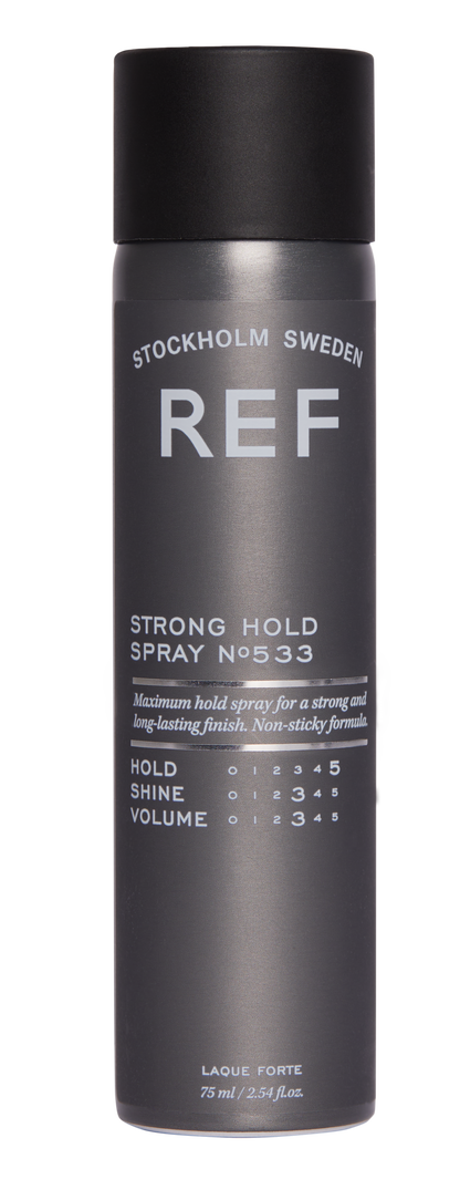 Strong Hold Spray N°533