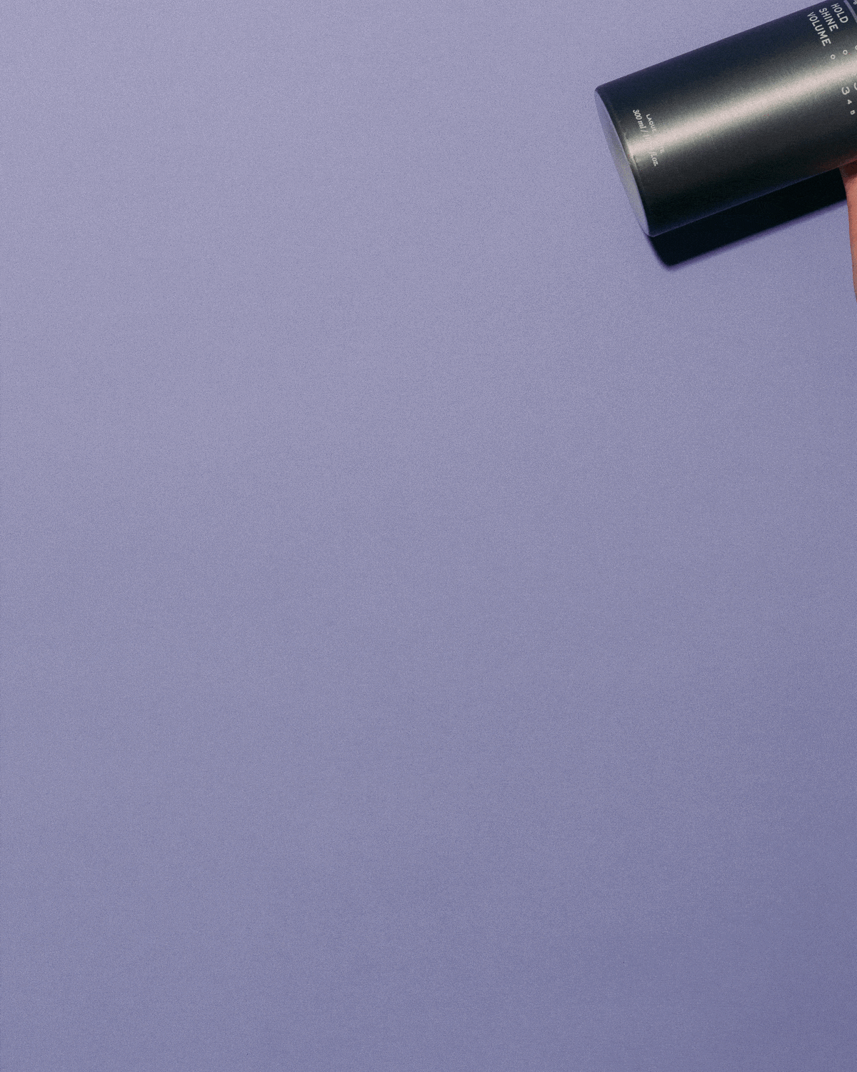 Strong Hold Spray N°533